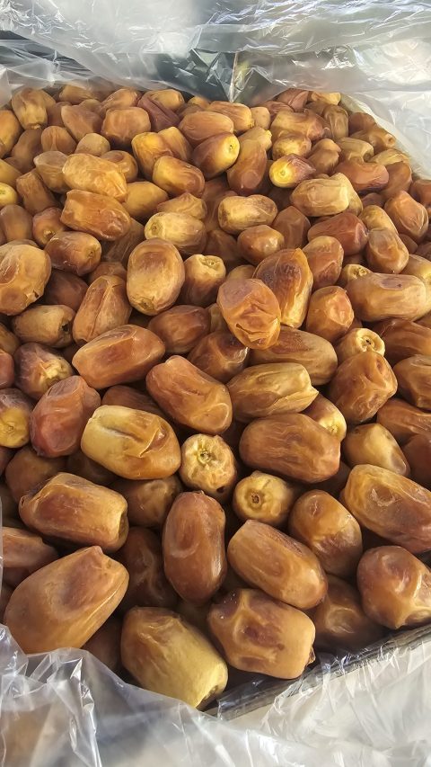 خرمای زاهدی، خرمای زاهدی صادراتی، خرمای خشک جنوب ایران، بسته‌بندی خرما، صادرات خرما به پاکستان، بازار خرما در پاکستان، خرمای ایرانی در بازار جهانی، تجارت بین‌المللی خرما، حمل‌ونقل خرمای صادراتی، گمرک و صادرات خرما، خرمای با کیفیت، محصول ارگانیک، خوراکی سالم، سوغات ایران، محصولات نخلستان