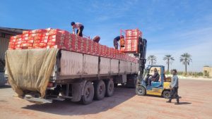 صادرات خرما به پاکستان صادرات خرمای زاهدی خرید عمده خرمای زاهدی قیمت خرمای صادراتی ایران مراحل صادرات خرما خرمای زاهدی ایران حمل خرما به پاکستان بستهبندی خرما صادراتی ترخیص خرما در مرز ایران پاکستان فروش عمده خرما به پاکستان بهترین خرما برای صادرات صادرات خرمای فارس خرید خرما از ایران واردات خرما به پاکستان صادرات خرما ۲۰۲۵