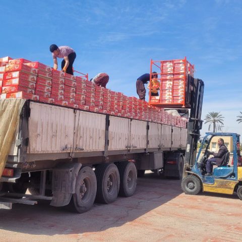 صادرات خرما به پاکستان صادرات خرمای زاهدی خرید عمده خرمای زاهدی قیمت خرمای صادراتی ایران مراحل صادرات خرما خرمای زاهدی ایران حمل خرما به پاکستان بسته‌بندی خرما صادراتی ترخیص خرما در مرز ایران پاکستان فروش عمده خرما به پاکستان بهترین خرما برای صادرات صادرات خرمای فارس خرید خرما از ایران واردات خرما به پاکستان صادرات خرما ۲۰۲۵